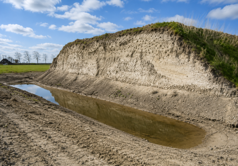 2021 – Oeverzwaluwen en rugstreeppadden op De Boekelermeer